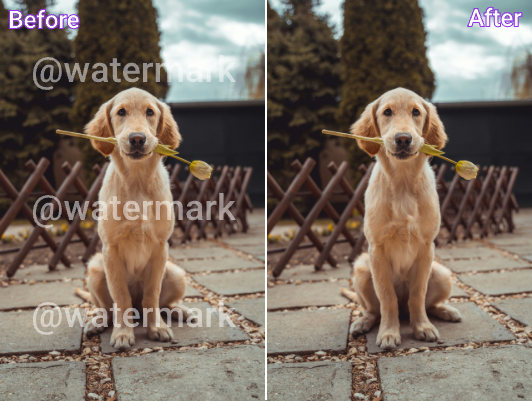 Background Remover